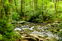 Alex Cole Cabin access Roaring Fork Stream