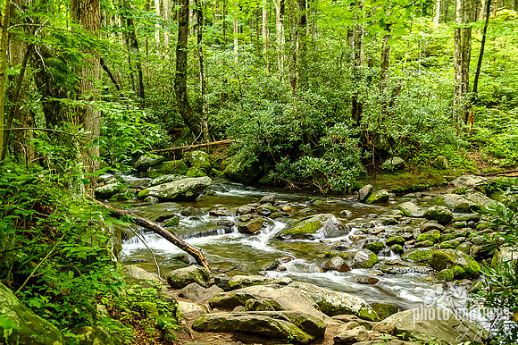 Alex Cole Cabin access Roaring Fork  Stream