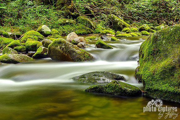 Alfred Reagan flowing waters Roaring Fork Stream