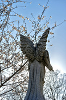 Wings Angel Cherry Blossoms Tree