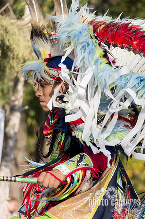 Bright Colourful Fancy Dancer
