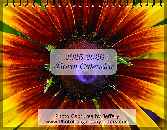 Screenshot 2025-07-03 at 09-56-47 Create Photo Calendars