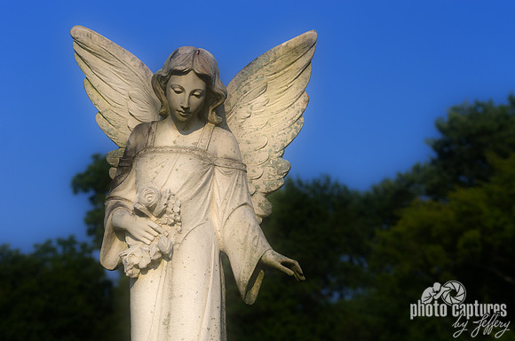 Calming winged angel Evergreen Cemetery