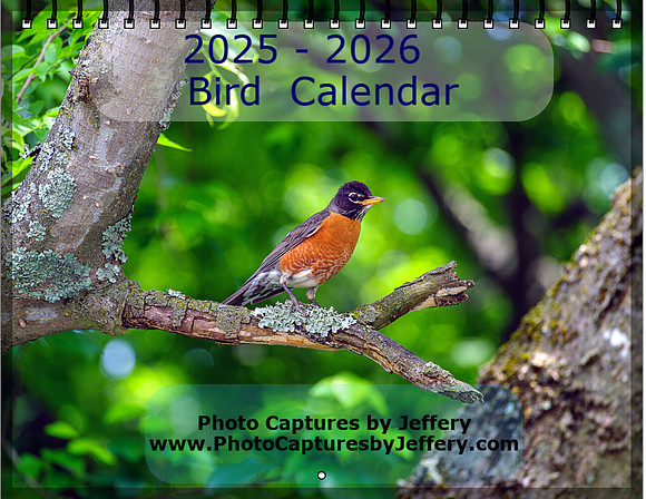 Screenshot 2025-07-02 at 17-25-27 Create Photo Calendars