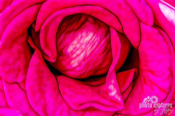 Rose thick and heavy pink