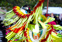 2011 Tennessee State Pow Wow