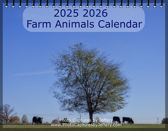 Screenshot 2025-07-02 at 23-05-47 Create Photo Calendars