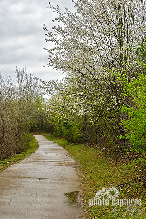 Wet Harpeth River Greenway Early Spring