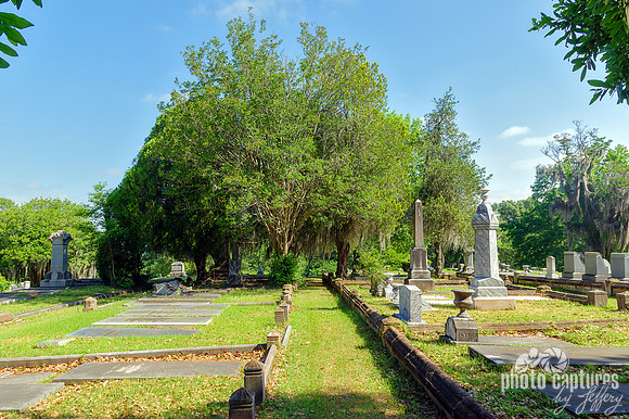 Path Between Graves Oakwood Cemetery