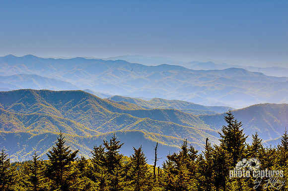 Northern view of Smoky Mountains from Kuwohi