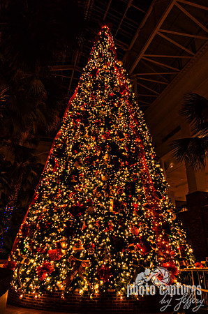 Inside Hotel Large Christmas Tree Country Christmas Nashville TN