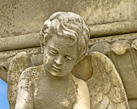 Mount Olivet Cemetery Nashville TN