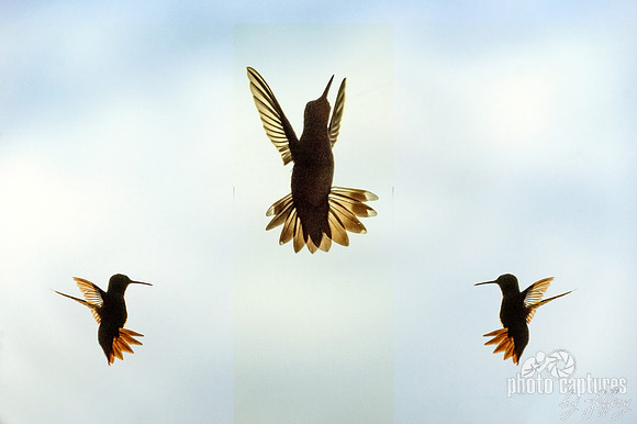 Light blue cloudy sky three hummers