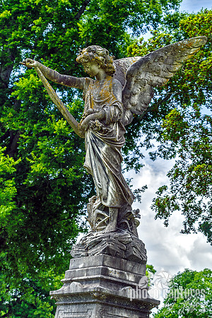 Winged Angel Arm Being Supported