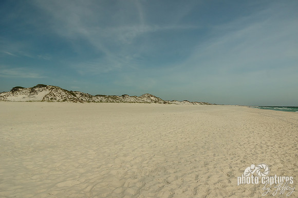 St Andrews State Park Sand Dunes And Beach