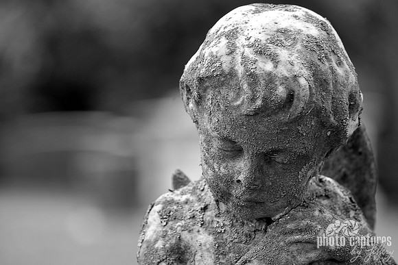 Little Angel Boy Head Tilted Black and White