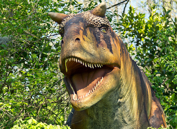Carnotaurus II