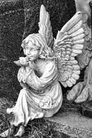 Murfreesboro Tennessee Cemeteries