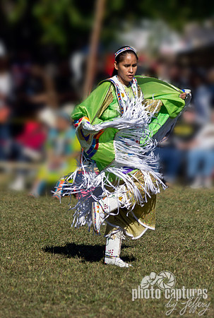 Fancy Shawl Dancer