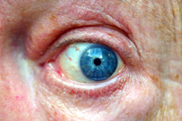 Blue Staring To the Side Eyeball