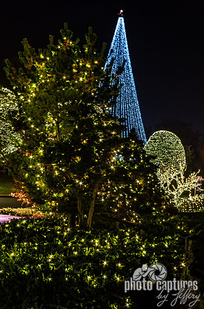 Blue lighted tree Country Christmas