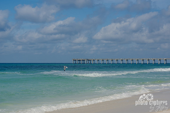 MB Miller Pier Seagull in Flight Against Ocean Blue