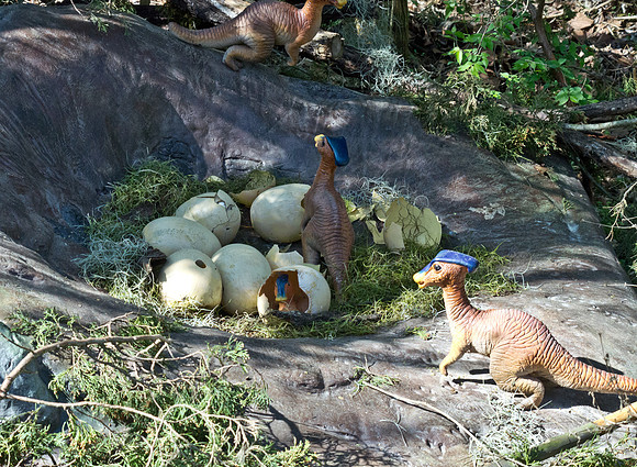 Parasaurolophus Egg Nest