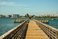 Eastern Brown Pelican In Flight Fishing Pier