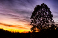 Scenic Sky Views