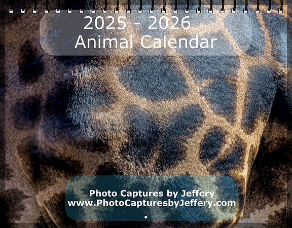 Screenshot 2025-07-04 at 11-23-02 Create Photo Calendars