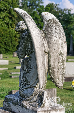 Angel kneeling wings from behind