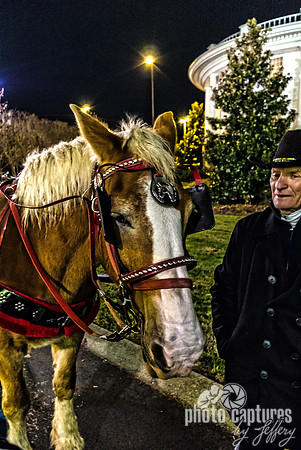 Charming Carriage Horse With Driver Standing Alongside Country Christmas Nashville TN