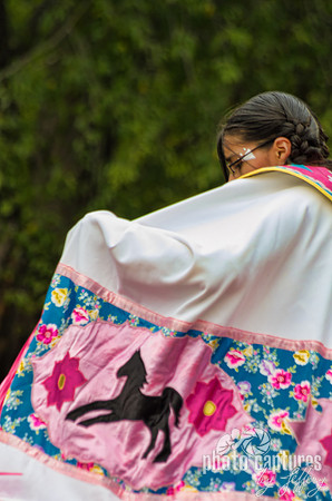 Native American Fancy Shawl Dancer With Horse On Shawl