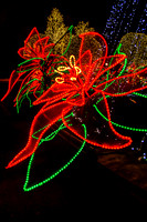 2013 Country Christmas Holiday Nashville TN