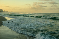Hydroprogne Caspia Three In Ocean Waves