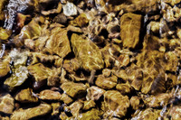 Artistic rendering of River Rocks in the waters of Harpeth River