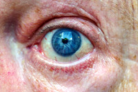 Blue Eye Staring Ahead