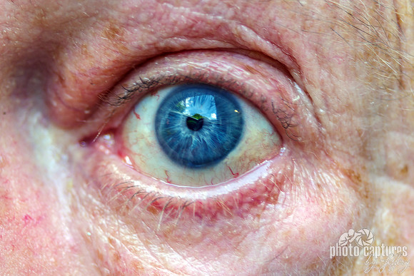 Blue Eye Staring Ahead
