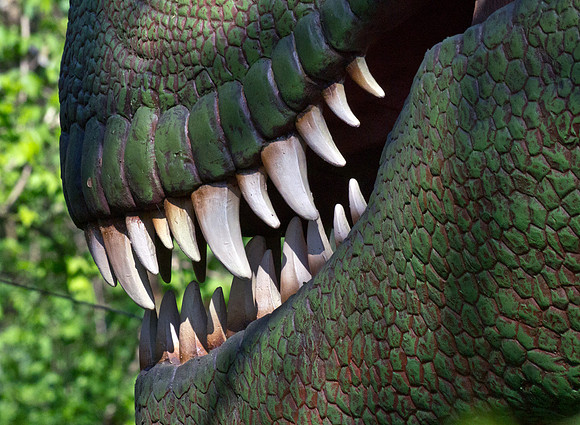 Tyrannosaurus Rex Sharp Teeth
