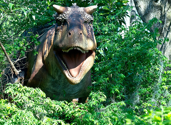 Carnotaurus I