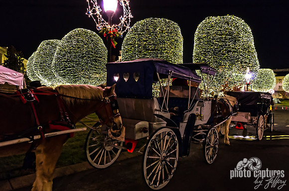 Carriages Lined Up At Country Christmas Nashville TN
