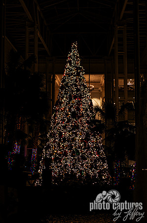 Large Christmas Tree in Delta section of hotel
