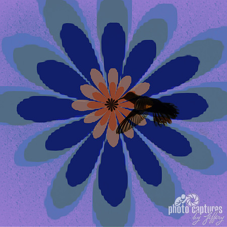 Hummingbird With Floral Pattern