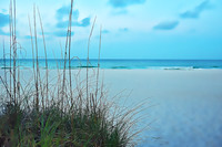Beach Grass on Beach artistic rendering