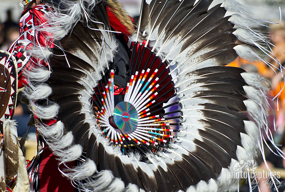 Reflective Circle