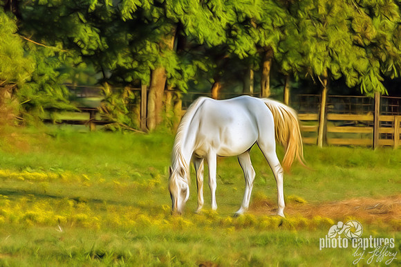 Artistic Rendering of White Horse Rural Farm