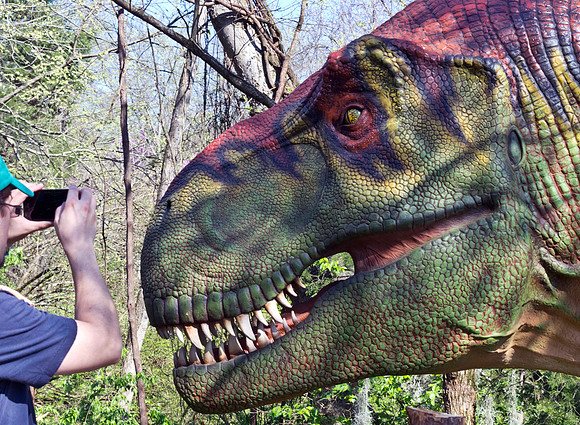 Tyrannosaurus rex About To Have Dinner