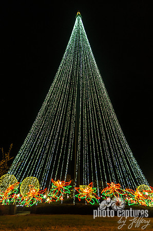 Large Light Holiday Christmas Tree Nashville TN