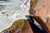 Rock In Between Two Boulders