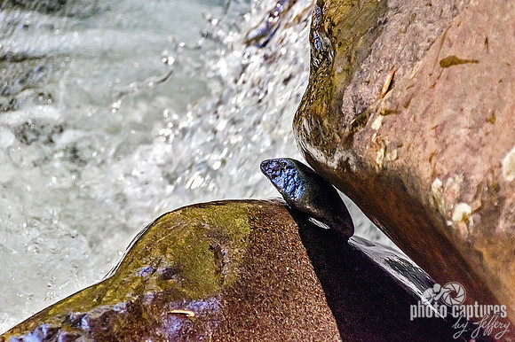 Rock In Between Two Boulders